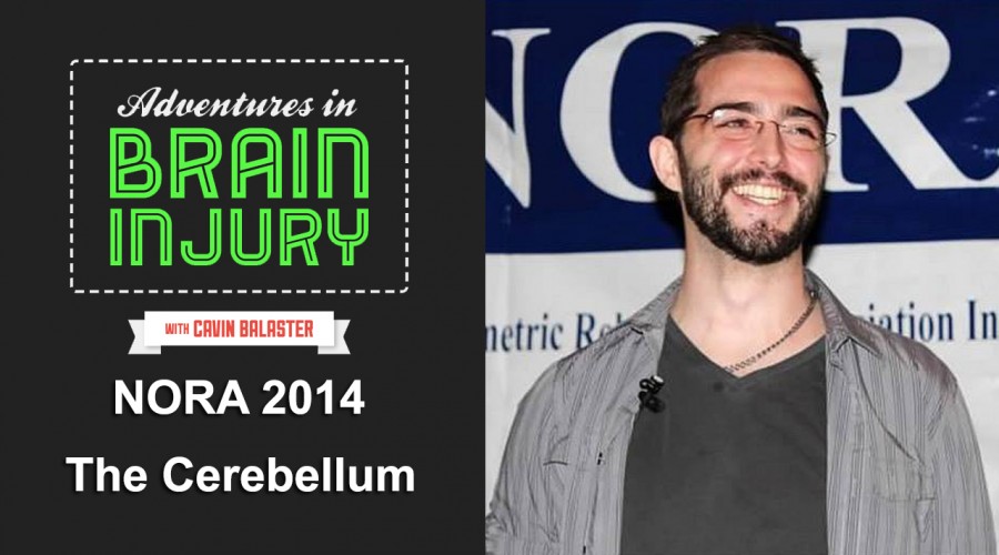 The Cerebellum – Keynote Speech NORA 2014