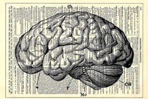 How Reading A Novel Changes The Brain