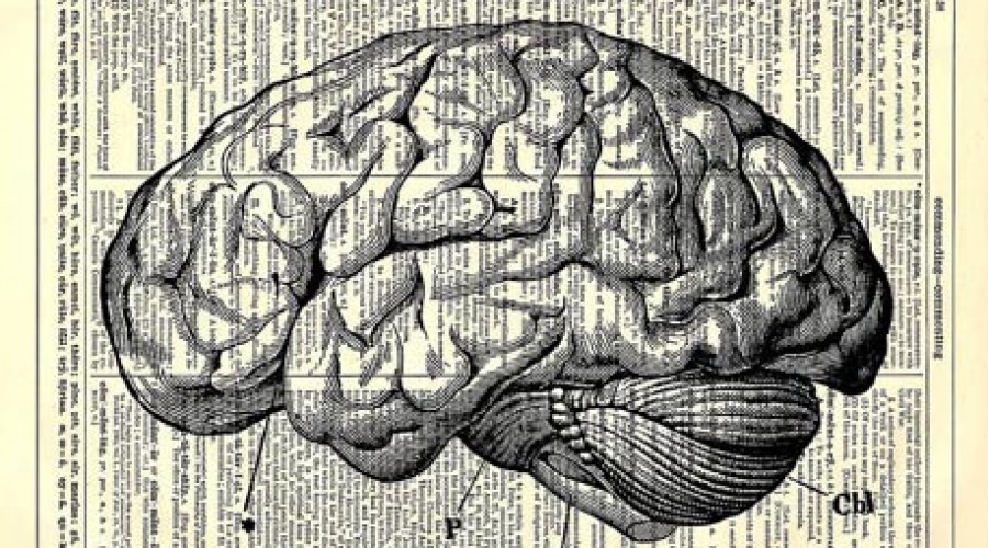 How Reading A Novel Changes The Brain