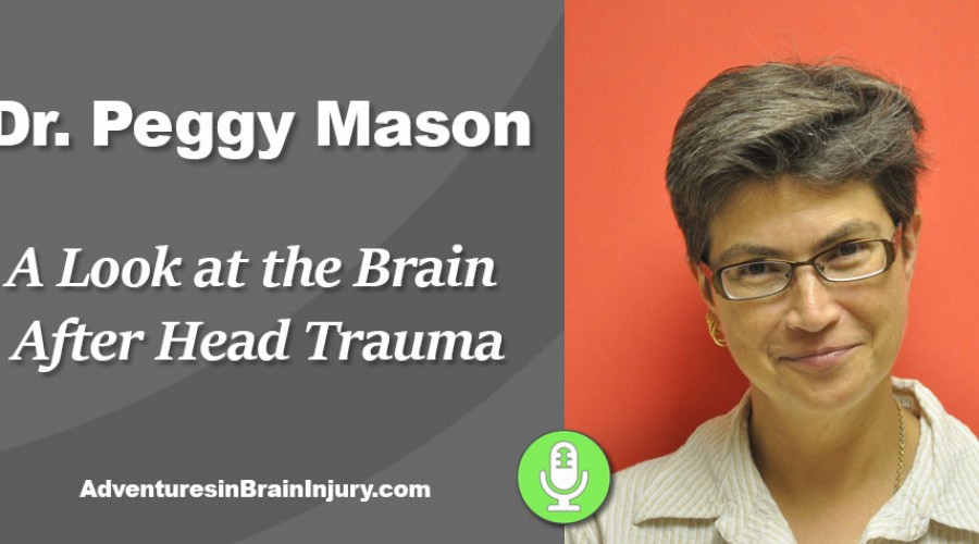 Podcast 9 – A Look Inside the Brain After Head Trauma