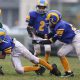 Youth Concussions: Making Our Playing Fields a Safer Place