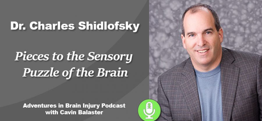 Podcast 20 – Pieces to the Sensory Puzzle of the Brain